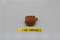 藏品(白紋方蟹)的圖片